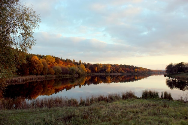 Krajobraz z odbijającą się w nim rzeką i lasem