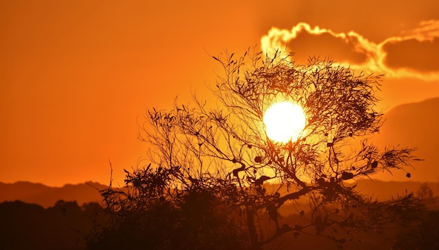 krajobraz z pięknym afrykańskim zachodem słońca