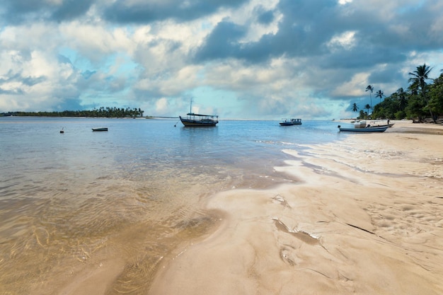 Krajobraz z plażą z palmami kokosowymi na wyspie Boipeba Bahia Brazil