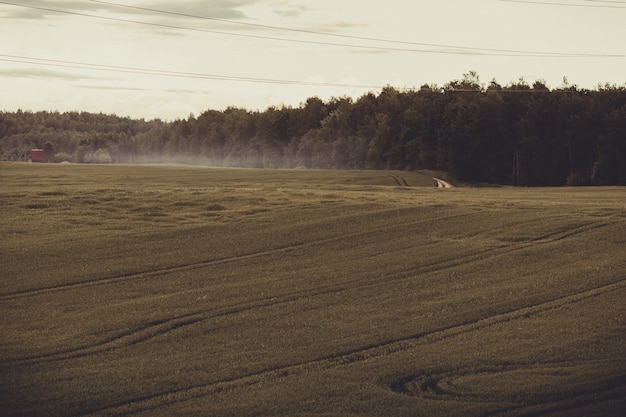 Zdjęcie krajobraz z polem i mgłą