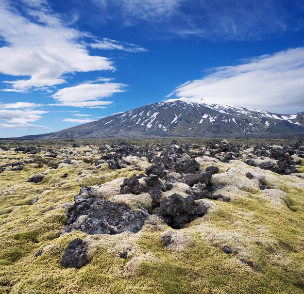 Krajobraz z polem lawy i szczytem wulkanu Islandia