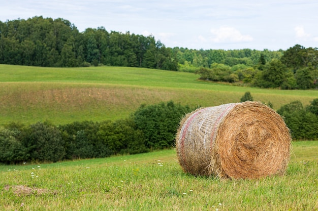 Krajobraz z rolką siana na polu