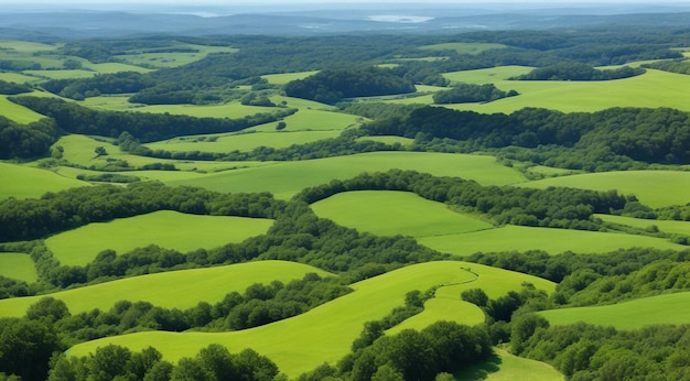 Zdjęcie krajobraz z trawą i niebem krajobraz z polami panoramiczny widok zielonego krajobrazu pola