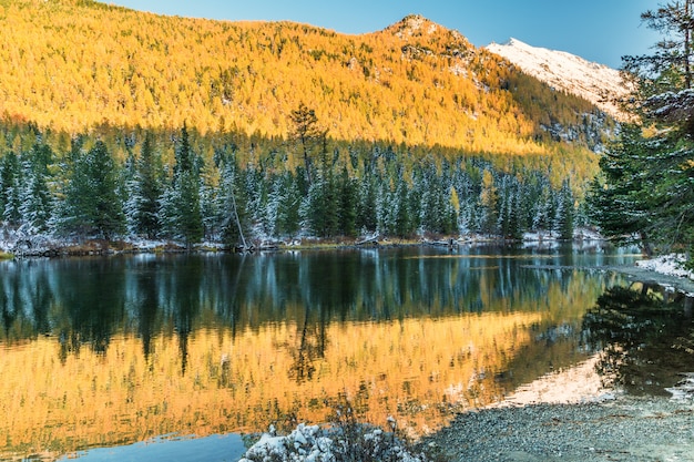 Krajobraz Z Wielką Syberyjską Naturą, Altai, Rosja.