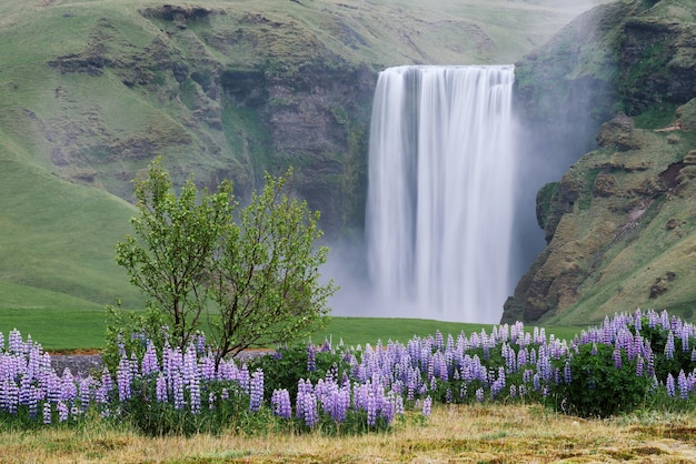 Krajobraz z wodospadem Skogafoss Islandia