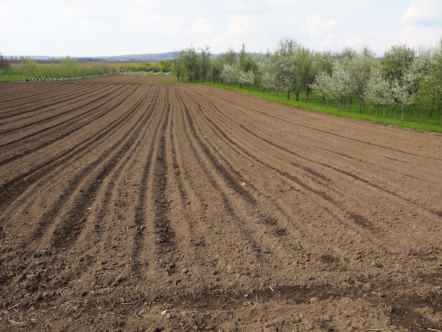 Krajobraz z zaoranymi gruntami rolnymi przygotowanymi do zbiorów Krajobraz rolniczy Grunty orne pod uprawy tymczasowe, które można zaorać i wykorzystać do uprawy roślin Serbia Sremska Mitrovica Fruska gora