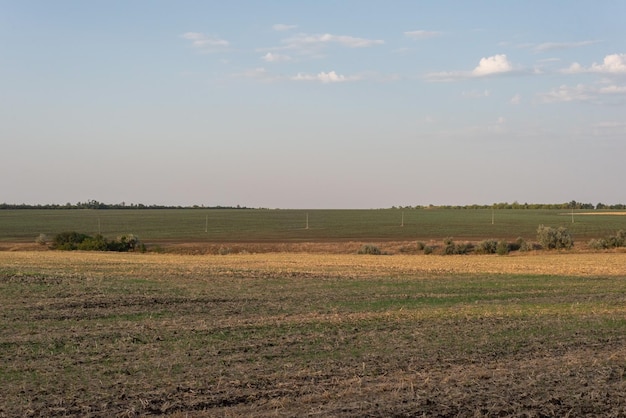 Krajobraz zaoranego pola z żółtą trawą na tle nieba sierpień ukraina