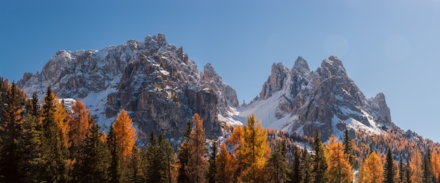 Krajobrazowa panorama z górami i jasnymi jesiennymi drzewami, bezchmurne niebo, Dolomity