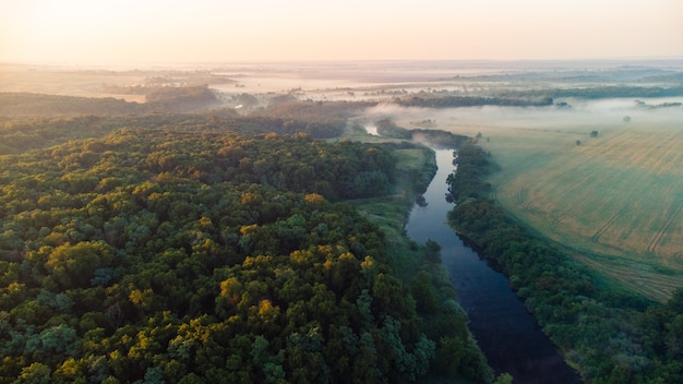 Krajobrazowy las nad rzeką we mgle