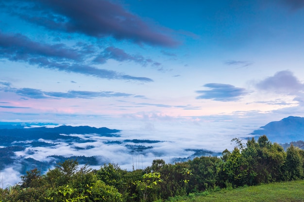 Krajobrazowy morze mgła na wysokiej górze w Phitsanulok prowinci, Tajlandia.