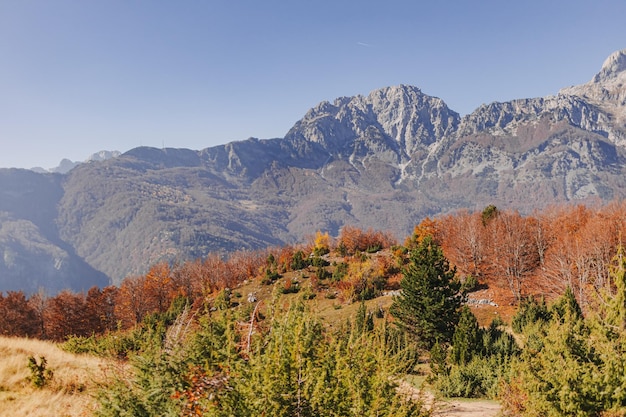 Krajobrazowy Widok Jesiennych Wzgórz Z Alpami W Tle