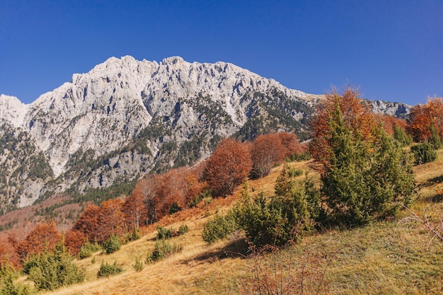 Krajobrazowy widok jesiennych wzgórz z Alpami w tle