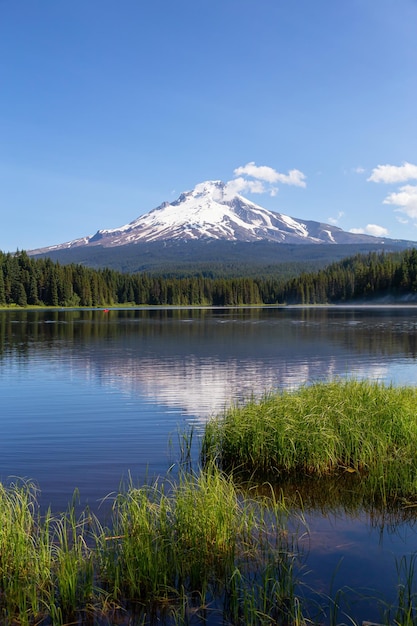 Krajobrazowy Widok Jeziora Z Mt Hood W Tle W Słoneczny Letni Dzień