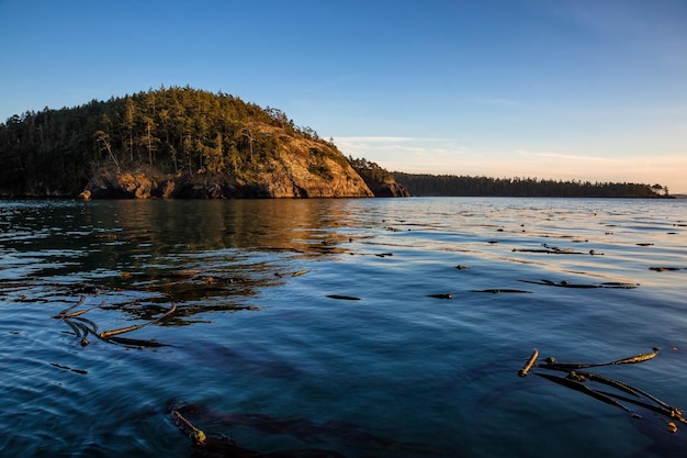 Krajobrazowy widok na Ocean Spokojny