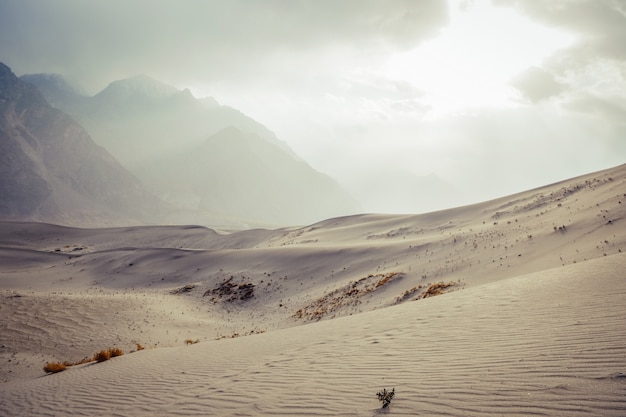 Krajobrazowy widok zimna pustynia przeciw śniegowi nakrywał pasmo górskie i chmurnego niebo w Skardu.