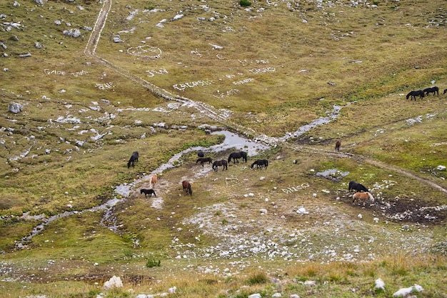 krajobrazy gór i jezior w dolomitach alpy włoskie