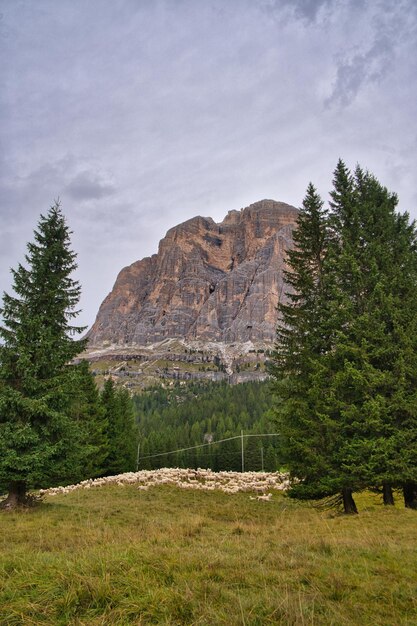 krajobrazy gór i jezior w dolomitachitaly