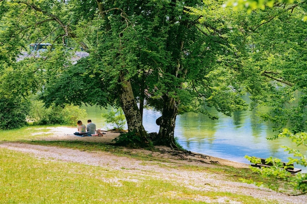 Krajobrazy jeziora Bohinj w Słowenii. Ludzie siedzący pod drzewem i przyrodą w Słowenii. Widok na zielony las i błękitną wodę. Piękny krajobraz latem. Alpejski cel podróży