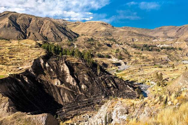 Krajobrazy kanionu Colca w Peru