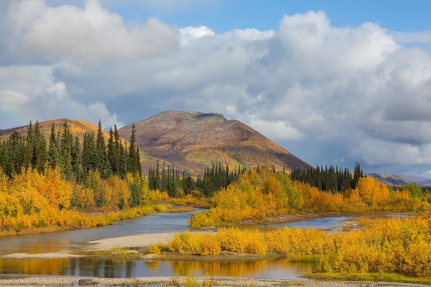 Krajobrazy tundry nad kołem podbiegunowym w sezonie jesiennym Piękne naturalne tło