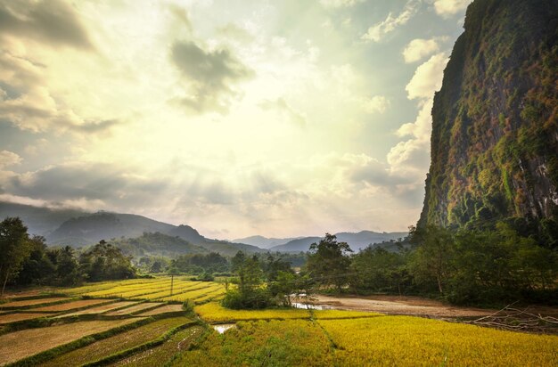 Krajobrazy W Laosie