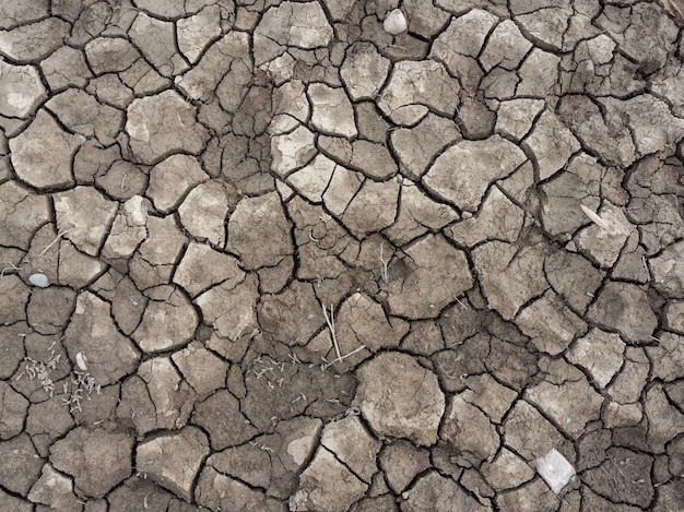 Krakingowa sucha ziemia. Zmiana klimatu, globalne ocieplenie, susza.