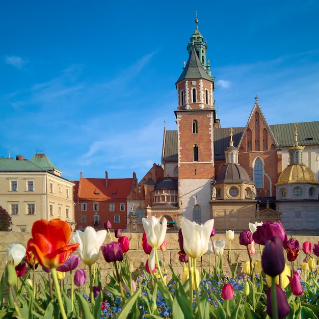 Kraków, Tulipany Przed Wawelem, Wiosna W Polsce