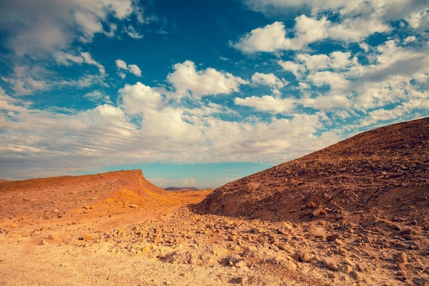 Krater Makhtesh Ramon w parku narodowym na pustyni Negev w Izraelu