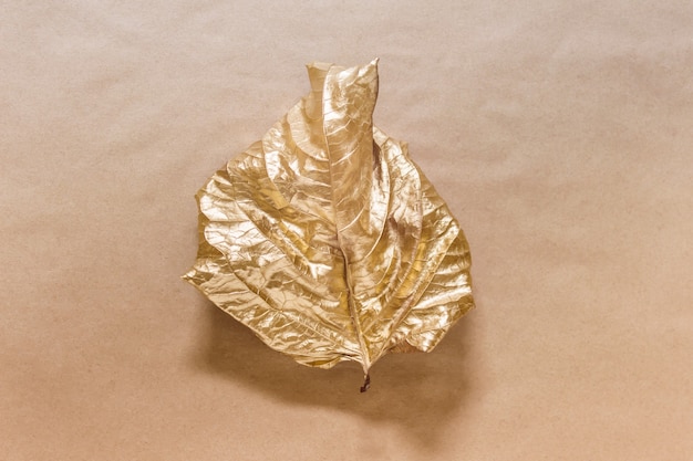 Kreatywna Kompozycja Z Pojedynczym Listkiem Barwionym Na Złoty Metalik Na Powierzchni Papieru Kraft