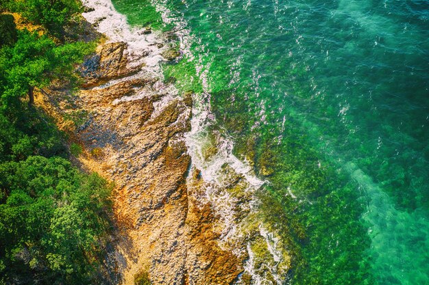 Kreatywna minimalna koncepcja plaży Układ wakacji letnich z niebieską wodą i piaskiem na jasnym tle Płaski lay