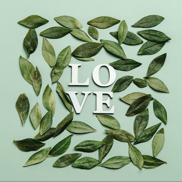 Kreatywne, płaskie ukształtowanie słowa miłość na zielono z naturalnymi liśćmi.