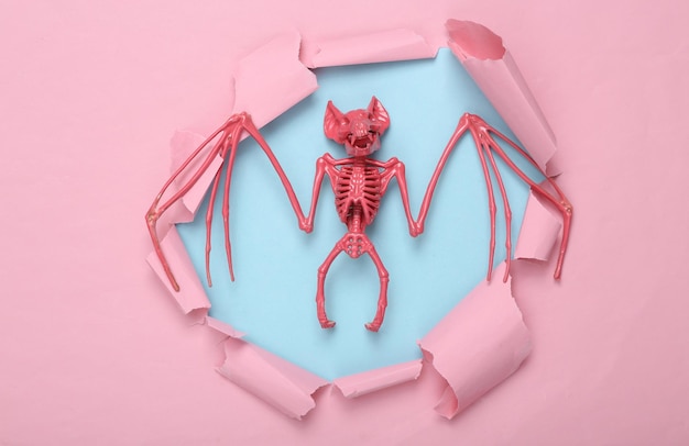 Kreatywny układ halloween Różowy szkielet nietoperza przez rozdarty otwór różowego papieru Minimalizm Sztuka koncepcyjna Płaski leżący widok z góry