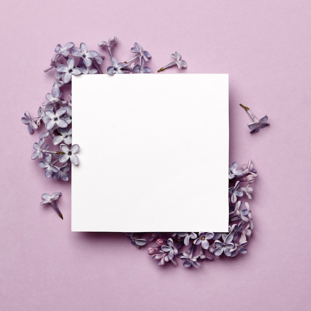 Kreatywny układ wykonany z kwiatów bzu na jasnym fioletowym tle z miejscem na tekst. Minimalna koncepcja wiosny.