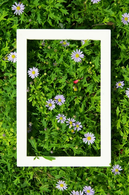Zdjęcie kreatywny układ z kwiatów i liści z białą ramką. widok z góry. koncepcja przyrody