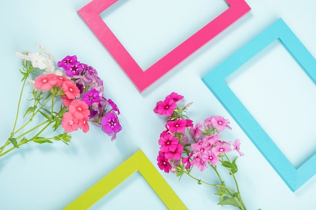 Kreatywny układ złożony z kwiatów i kolorowych ramek na niebiesko.