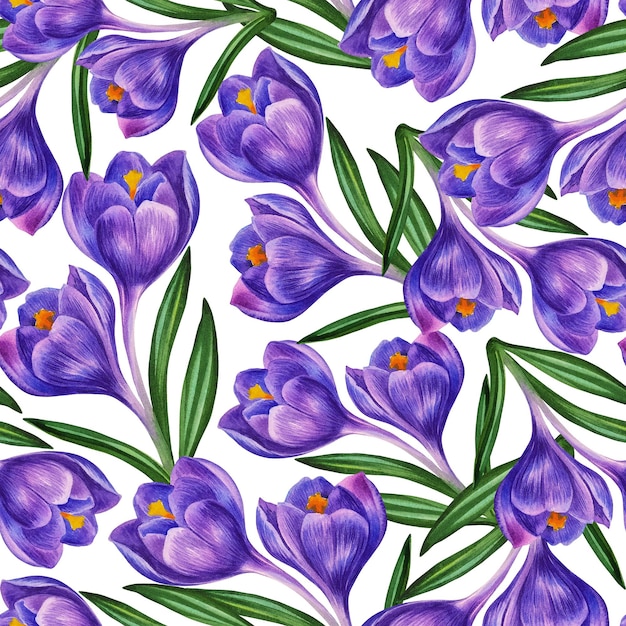 Krokus niebieski Jednolite wzór wiosennych kwiatów. Akwarela ilustracja.
