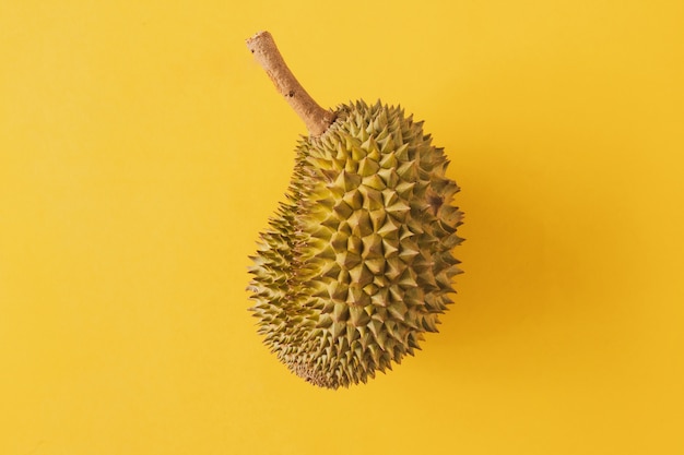 Królewiątko Owoc, Durian Na żółtym Tle