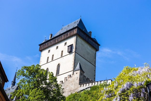 Królewski zamek gotycki Karlstejn w Czechach