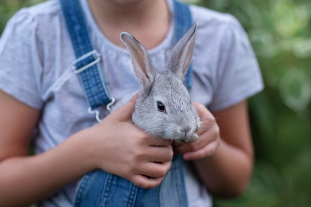 Zdjęcie królik w rękach