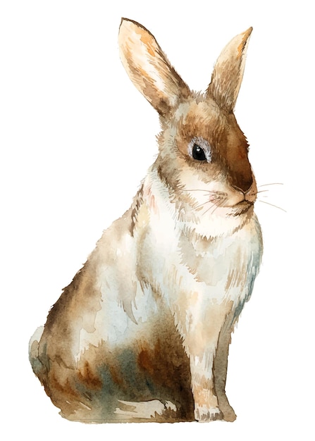Królik wielkanocny png clipart akwarel zwierzęca ilustracja na przezroczystym tle