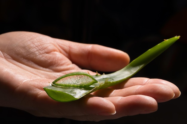 Krople aloe opadają i nawilżają skórę kobiecych rąk