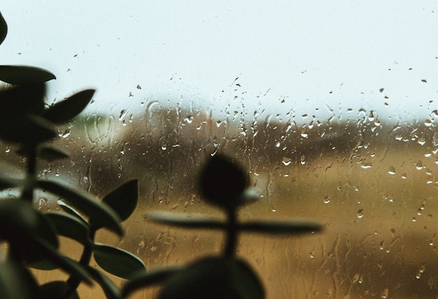 Krople Deszczu Na Oknie. Pochmurna Pogoda. Jesień Lub Wiosna. Tło I Tekstura.