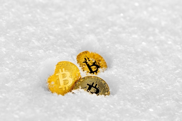 Kryptowaluta Bitcoin na śniegu