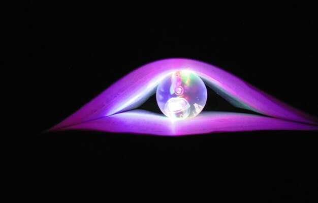 Kryształowa kula na oświetlonym fioletowym świetle na czarnym tle