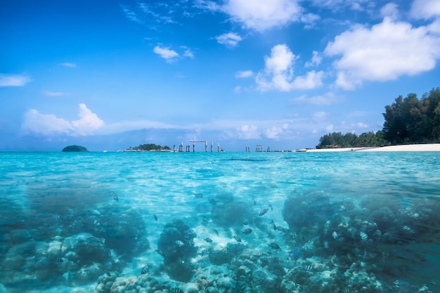 Kryształowe morze z błękitnym niebem i szkolnymi rybami na brzegu morza w andaman
