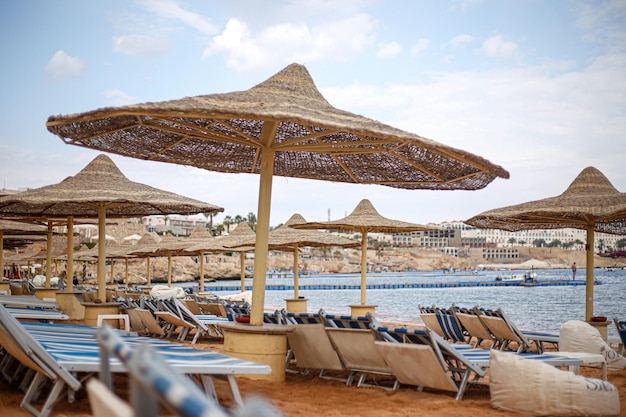 Krzesła i parasole na plaży na tle nieba