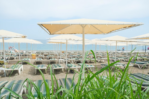 Krzesła plażowe z materacami i białymi parasolami na piaszczystej plaży na tle morza