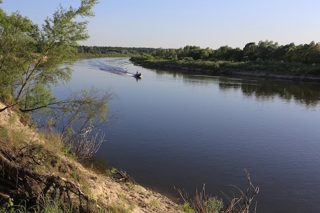 Krzewy na wysokim brzegu rzeki naturalny letni krajobraz Łódź przecinająca rzekę