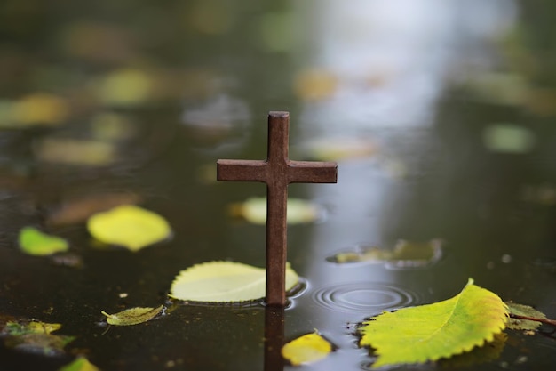 Krzyż Boży w promieniach słońca Tło religii