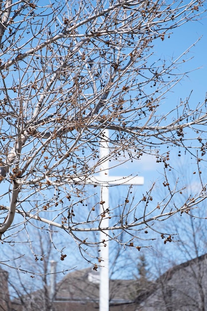 Krzyż kościelny na zewnątrz za drzewem